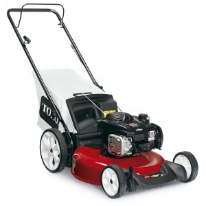 Cortadora de Cesped TORO 21319