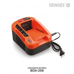 Batería SENSEI BLI-6AH